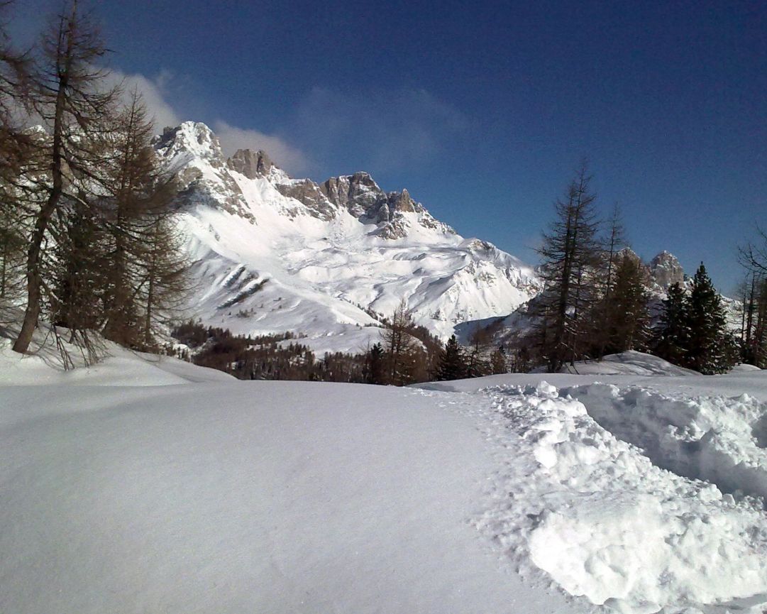 Neve fresca scendendo da Col Margherita!