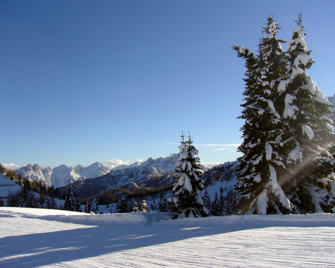 Scendendo dolcemente verso Piani di Pezze