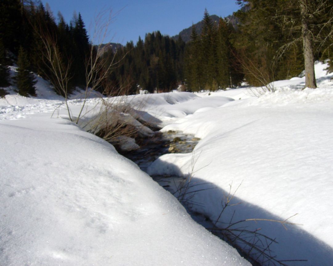 Sotto la neve di Palafavera