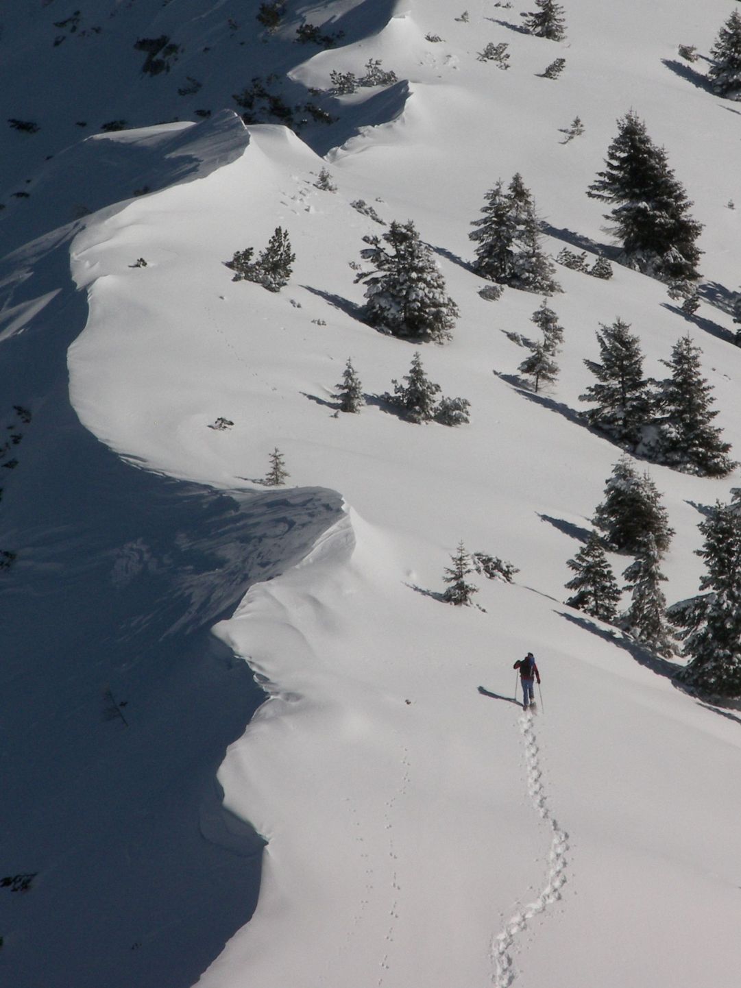 solitario sulla neve visto da cima larici