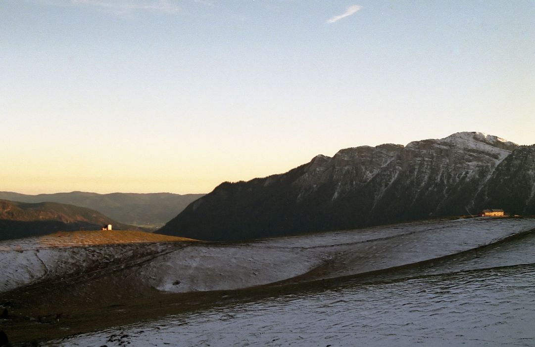 ultime luci presso cima larici,sullo sfondo il monte verena