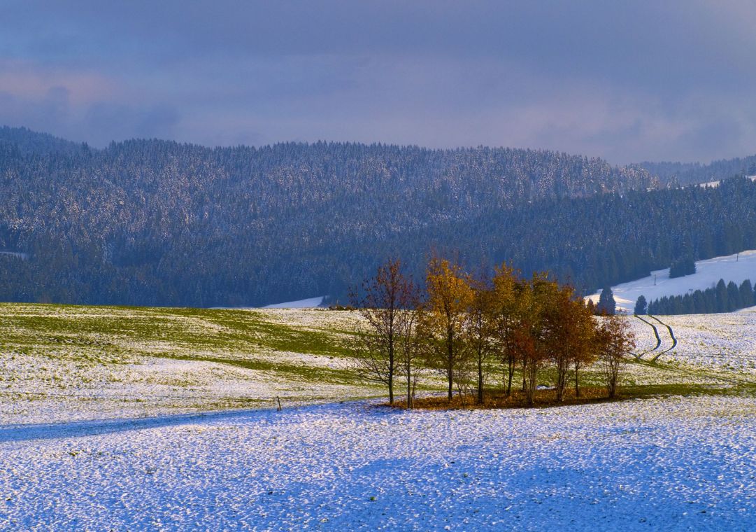 prima neve sull'altipiano di Asiago