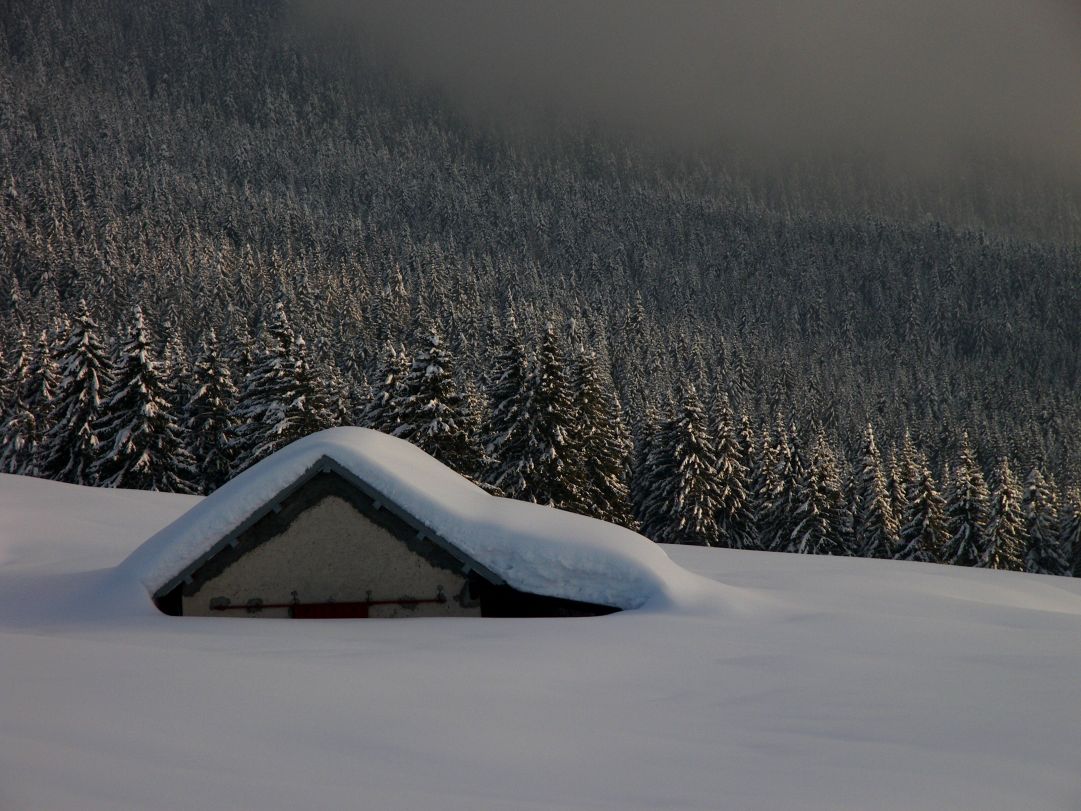 Grande nevicata a Campolongo di Rotzo
