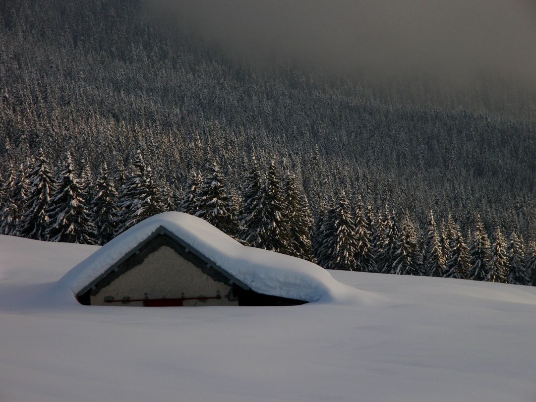 Grande nevicata a Campolongo di Rotzo