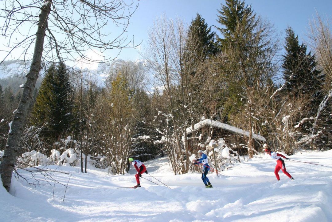 sci di fondo nel bosco