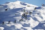 Ponte di Legno Tonale