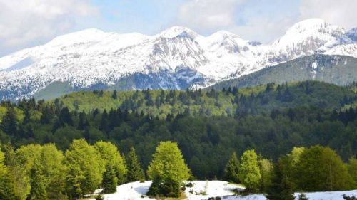 Da Mercoledì colpo di coda dell'inverno, potrebbero cadere oltre 50 cm di neve in alcune aree delle Alpi