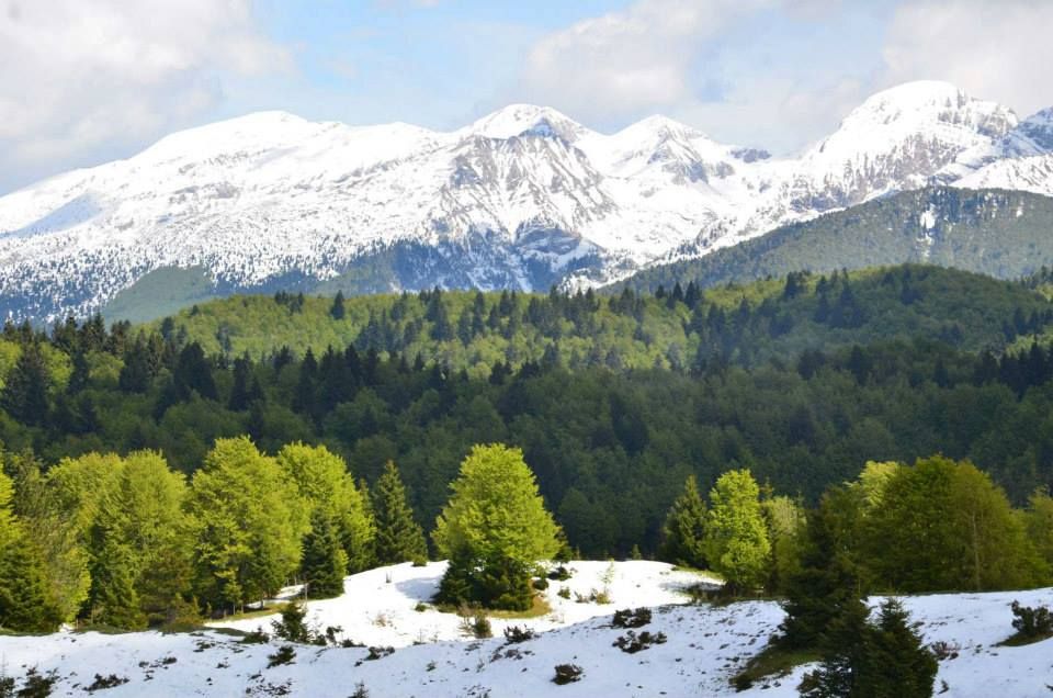 primavera innevata