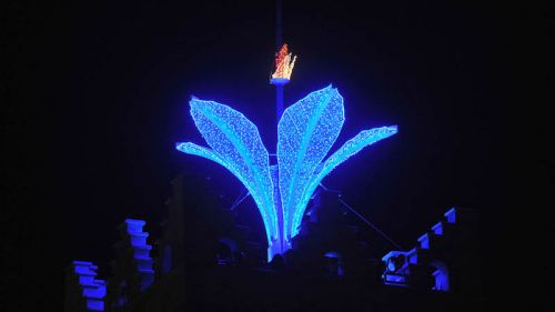 Una genziana illumina le Universiadi del Trentino