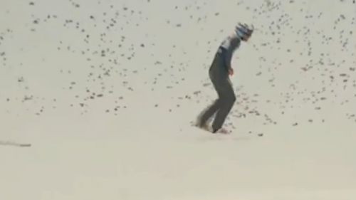 Polso rotto per Anders Bardal. Mondiali di Falun a rischio?