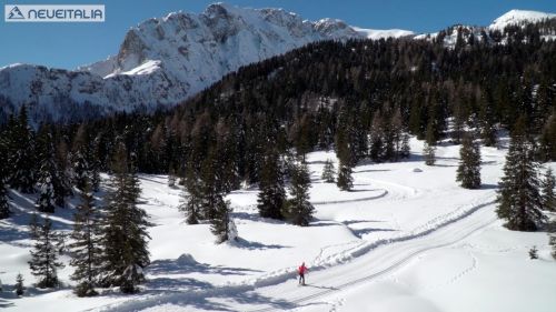 VIDEO - Alla scoperta della pista da fondo di Passo Pramollo (UD)