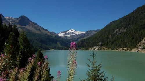 Alla scoperta della Val Martello dove trionfano fragole, biathlon e la natura da vivere senza fretta