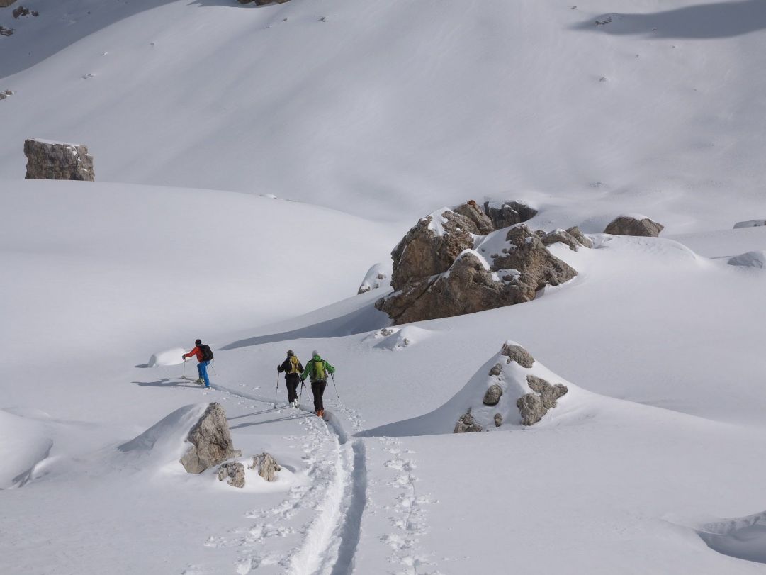 www.valgardena.it