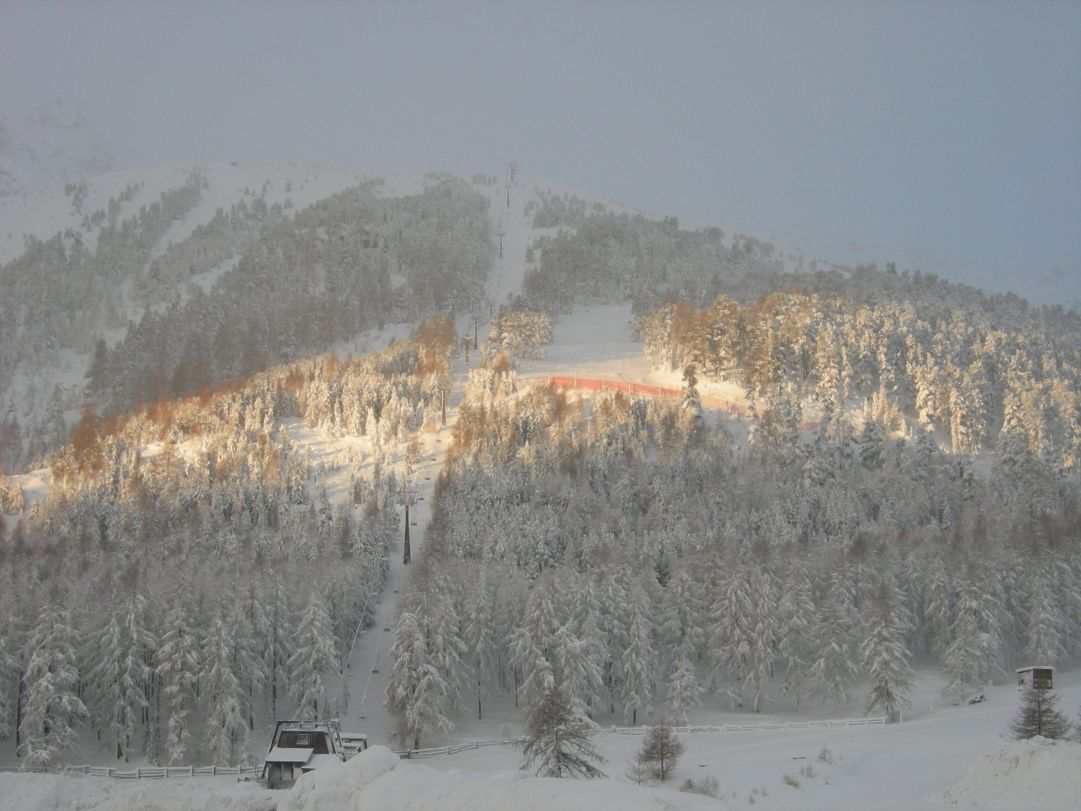 VAL SENALES