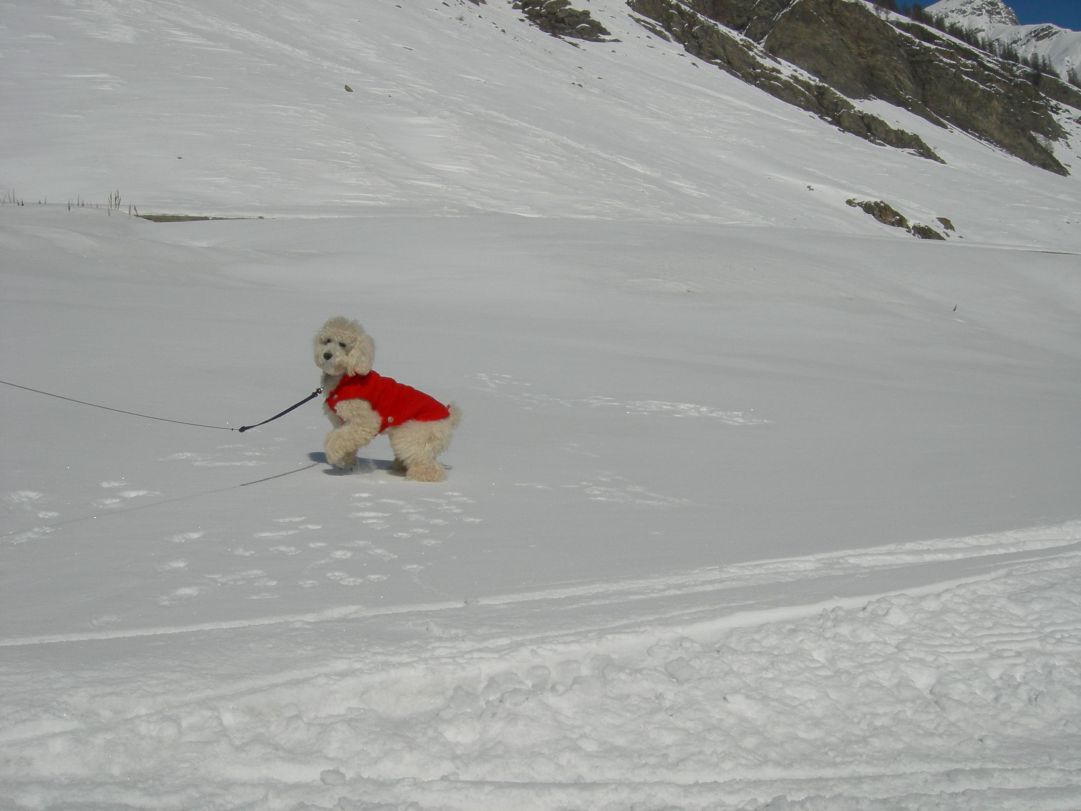 LIVIGNO-----