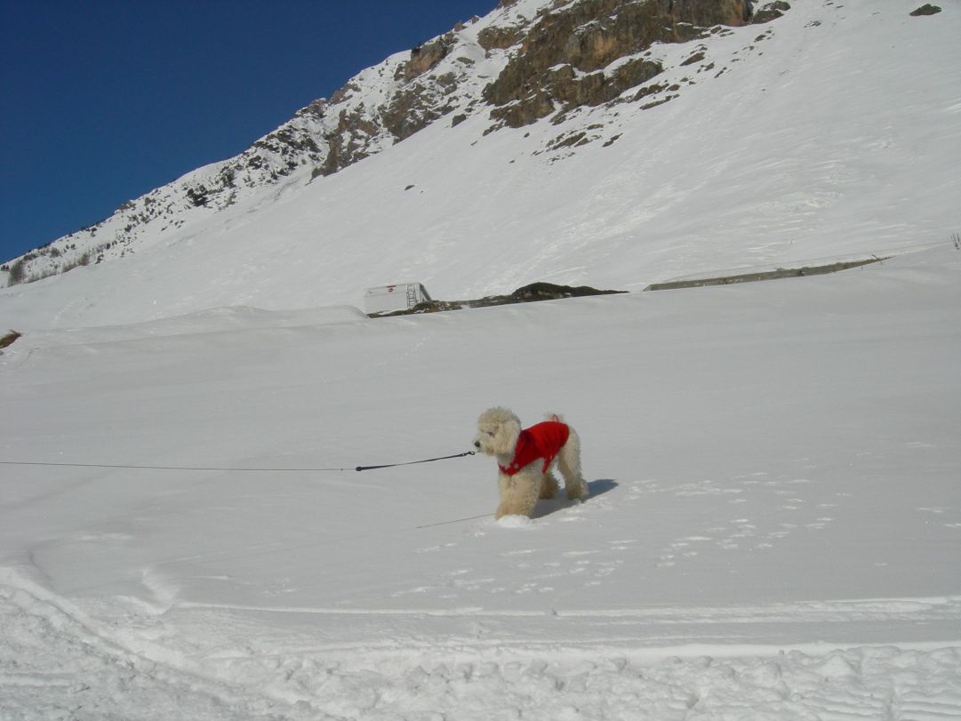 LIVIGNO...