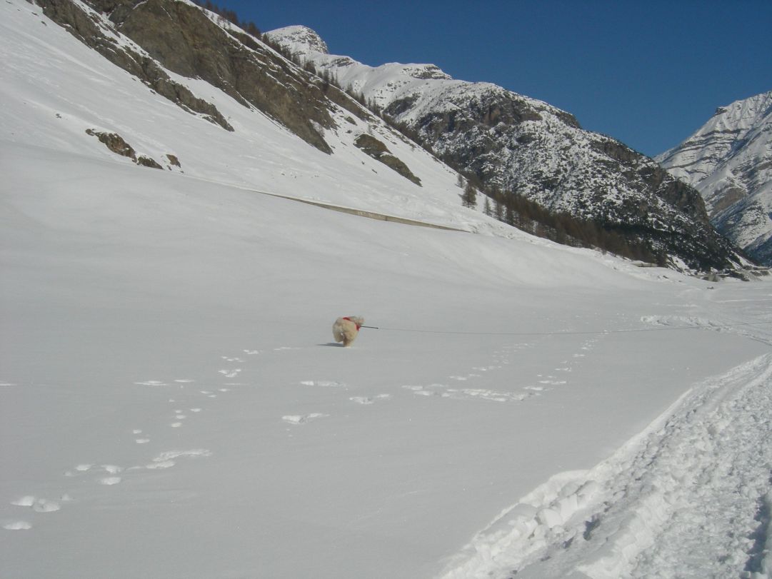 LIVIGNO