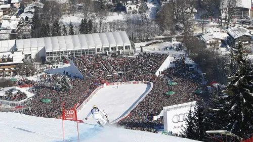 Disco Prova Mastite Kerbl - Test Per Latte Di Mucca, Confezione 1513 - Foto 7