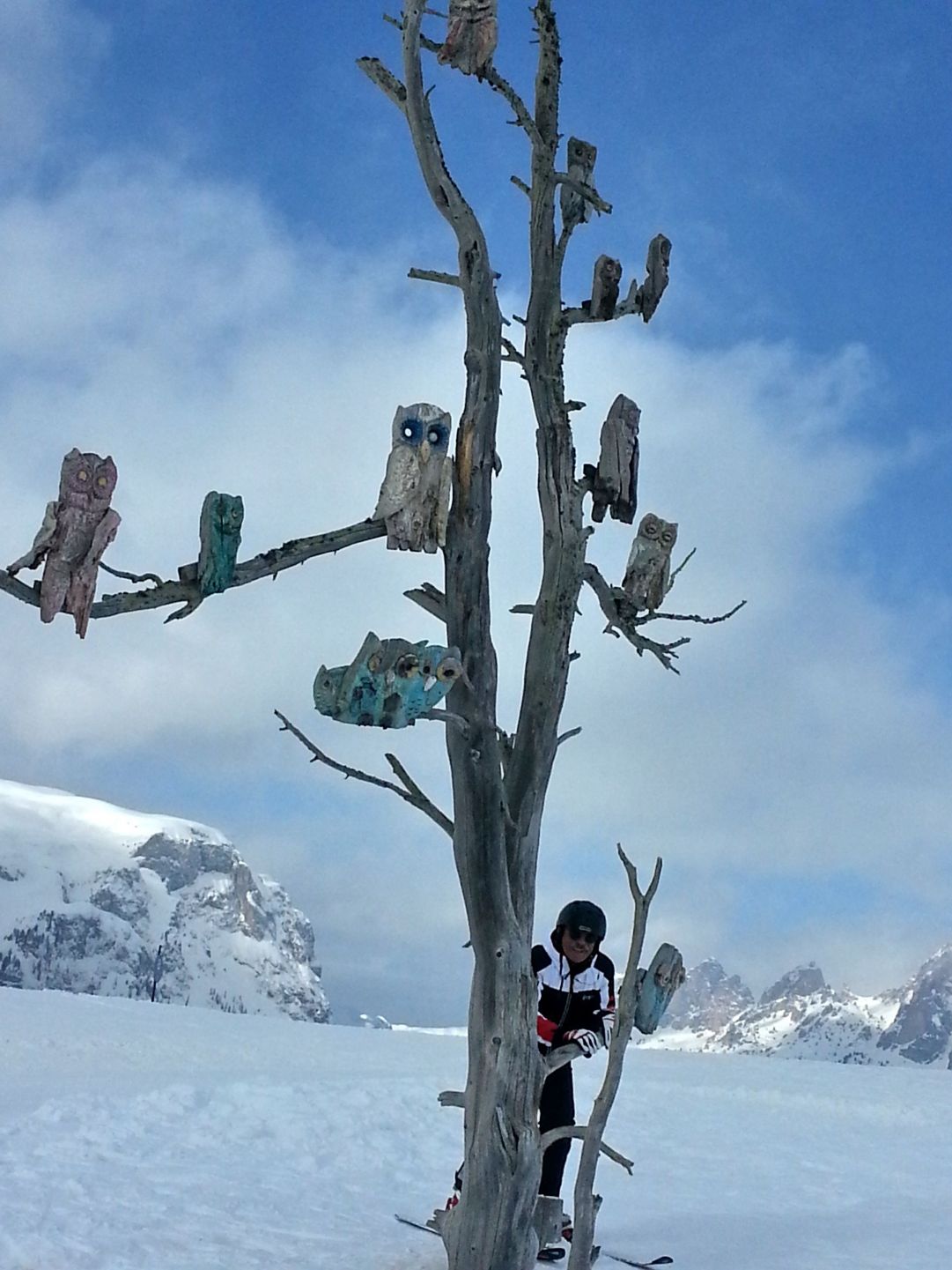 al rifugio trieste civette di legno coloratissime su rami secchi 