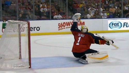 Una delle 38 parata di luongo contro i ducks