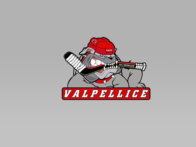 Alps Hockey League: il Valpe chiede chiarezza e il mantenimento dei diritti sportivi