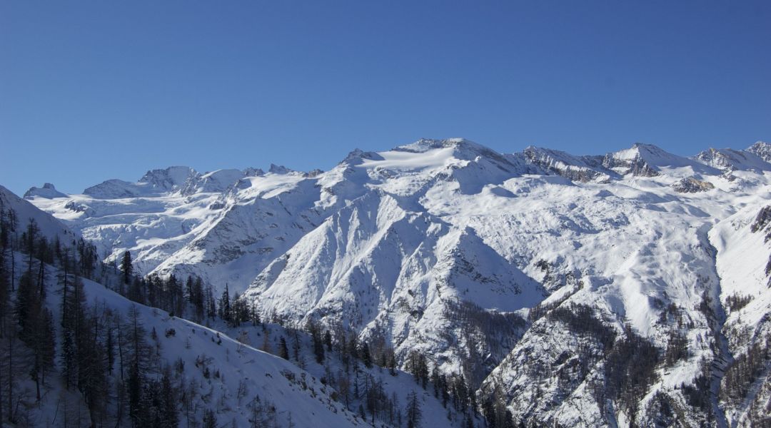 Dal colletto la vista spazia sulla catena del Gran Paradiso