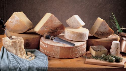 Quanti formaggi ha il Trentino Alto Adige?