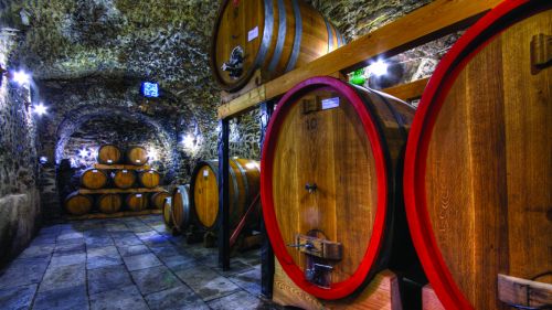 L'equilibrio tra natura e uomo: in cantina da Vini dei Giop