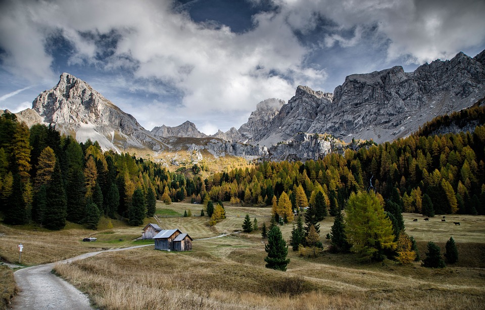 Trentino: 5 eventi enogastronomici da non perdere (dal 31 luglio al 7 agosto)