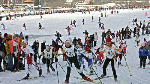 Elisabeth Willibald vince lo slalom di Coppa Europa di Göstling-Hochkar