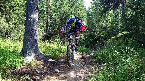 Bormio Bike Park