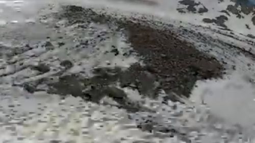 Campo Nord Paradisin. Il ghiacciaio di Livigno ha perso 250 centimetri di spessore in un anno.