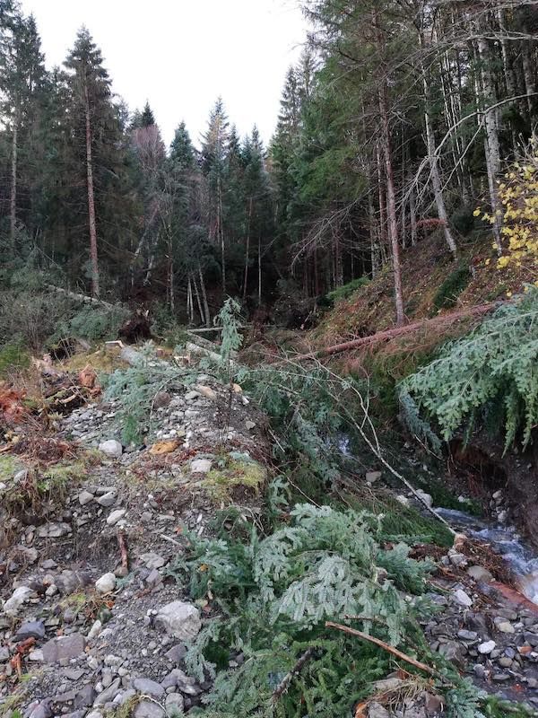 Il maltempo dei giorni scorsi ha colpito anche la zona di Forni Avoltri: tutte le foto esclusive che testimoniano la devastazione nella zona della Carnia Arena