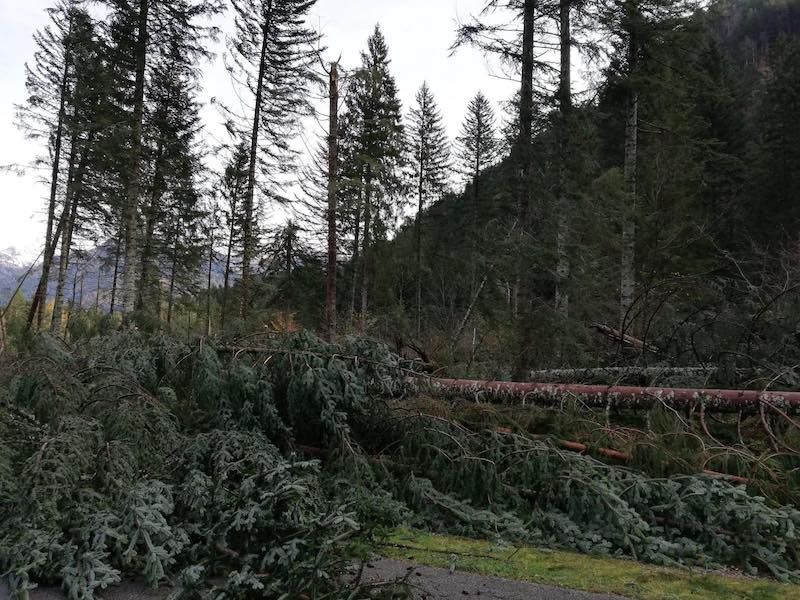 Il maltempo dei giorni scorsi ha colpito anche la zona di Forni Avoltri: tutte le foto esclusive che testimoniano la devastazione nella zona della Carnia Arena