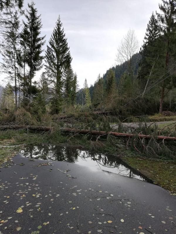 Il maltempo dei giorni scorsi ha colpito anche la zona di Forni Avoltri: tutte le foto esclusive che testimoniano la devastazione nella zona della Carnia Arena