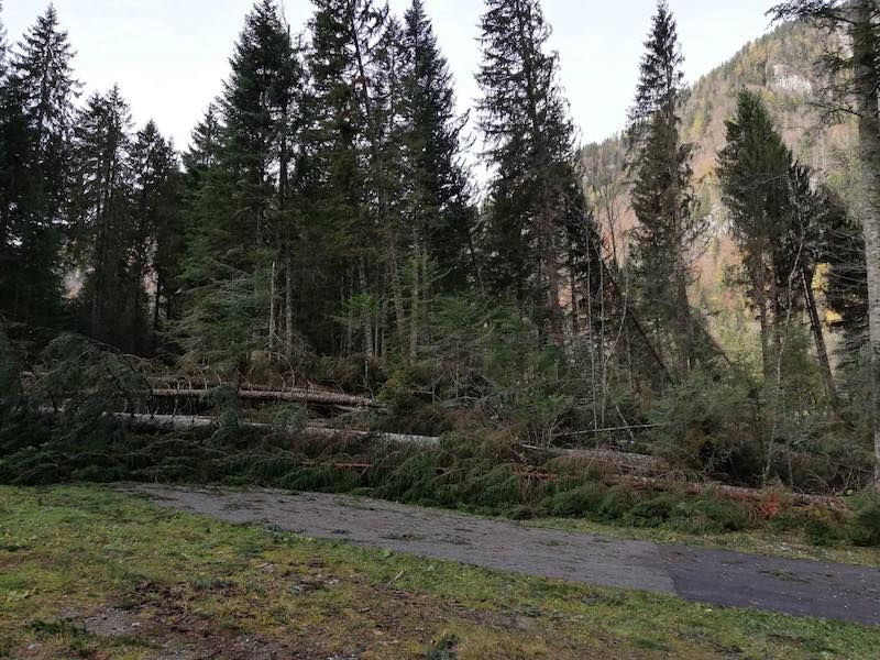 Il maltempo dei giorni scorsi ha colpito anche la zona di Forni Avoltri: tutte le foto esclusive che testimoniano la devastazione nella zona della Carnia Arena