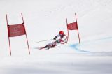 Marcel Hirscher domina la prima manche del gigante di Kranjska Gora