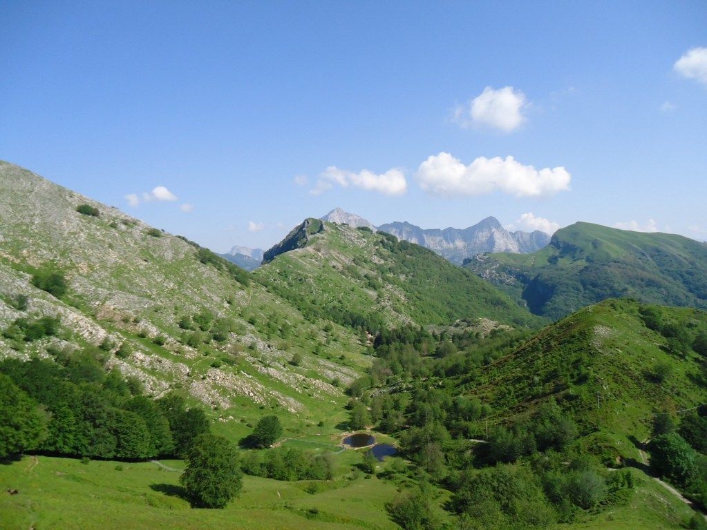 Uno scorcio della bellezza dei colori estivi di alcune vette dell'Appennino Pistoiese al confine con quelo Emiliano