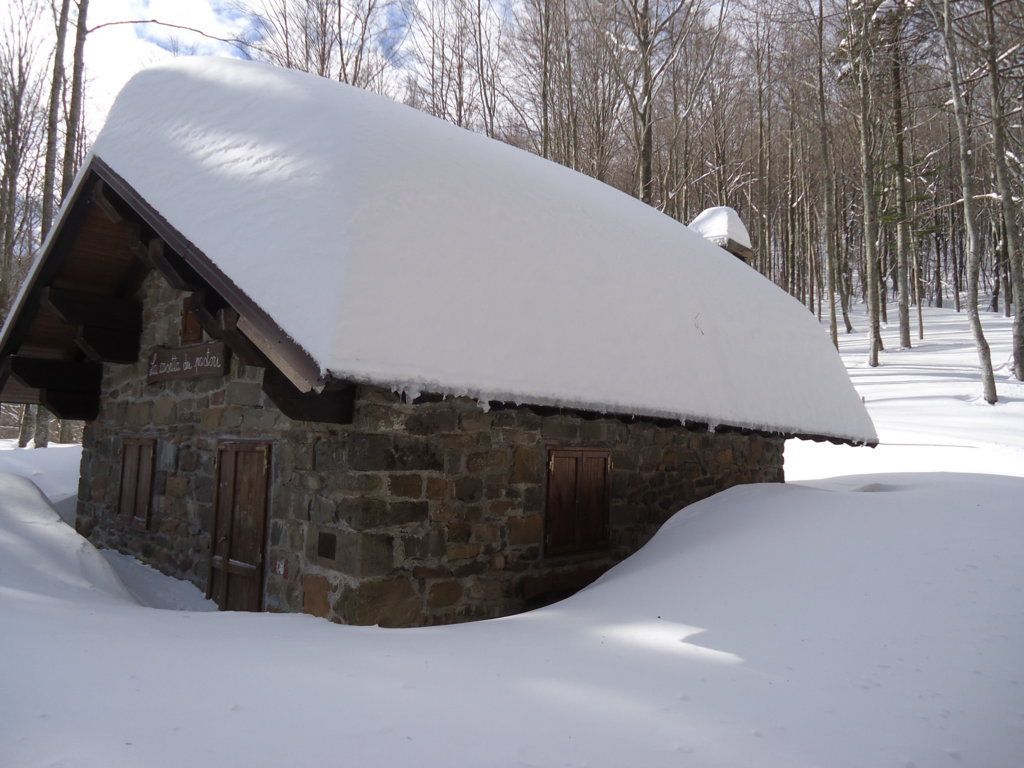 piccolissima cassettina innevata nel bosco della foresta biogenetica dell'Abetone, che inziia da Pian degli Ontani fino ad arrivare all'Abetone passando per Pian di Novello