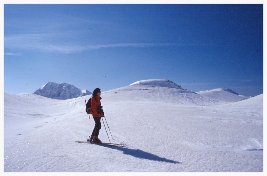 prima dell'incontro con uno stupendo branco di lupi appenninici al Parco Nazionale d'Abruzzo