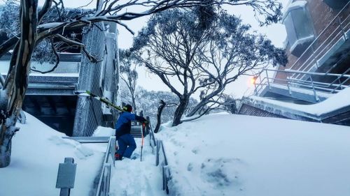 A Mount Hotham anche nebbia e vento dopo la neve: rinviati nuovamente i giganti australiani