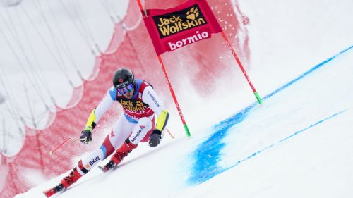 Un'altra campionessa che inizia una nuova avventura: Anna Veith diventerà presto mamma