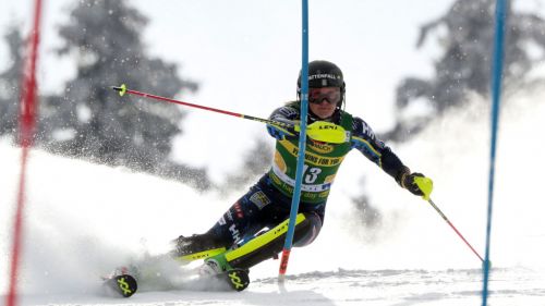 Criterium Nazionale Cuccioli, tutto pronto a Cortina d'Ampezzo con le gare sulla Lacedelli e al Col Gallina