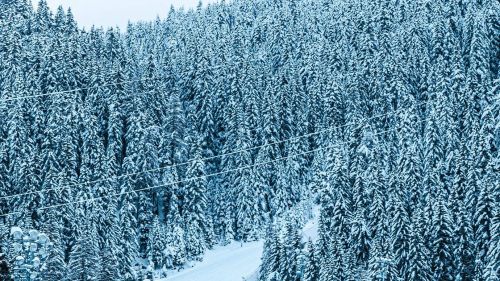 Planica regala subito spettacolo: Eisenbichler vince la qualificazione, bene gli azzurri