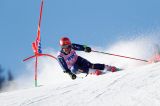 LIVE da Adelboden: alle 13.30 riparte il gigante tutto azzurro con De Aliprandini e Borsotti in testa