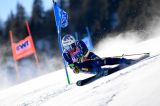 De Aliprandini, che rabbia! Scivola sul più bello, è Kranjec a trionfare ad Adelboden