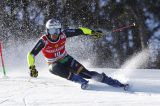 L'ultima gara prima delle finali: alle 9.30 scatta la 1^ manche del gigante bis di Kranjska Gora