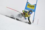 Hector e Worley a guidare Svezia e Francia a Kranjska Gora, Strasser per il tris di podi a Flachau