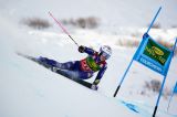 Bassino (n° 3) e Brignone (col 4) in sequenza nella prima manche di Semmering: la startlist completa