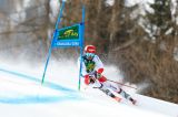 Pinturault incollato a Meillard nella prima di Kranjska Gora. De Aliprandini, manche shock con l'1